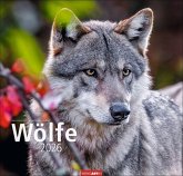 Wölfe Kalender 2026 Wölfe Kalender 2026