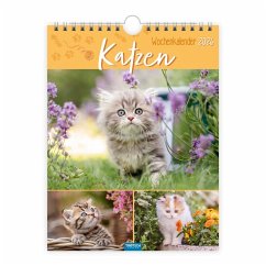 Cover Trötsch Wochenkalender zum Hängen Katzen 2026