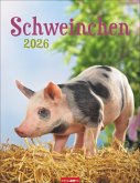 Schweinchen Kalender 2026 Schweinchen Kalender 2026