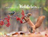 Vadim Trunov: Märchenhaftes Waldleben Posterkalender 2026 Vadim Trunov: Märchenhaftes Waldleben Posterkalender 2026