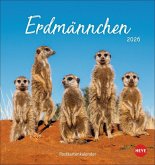 Erdmännchen Postkartenkalender 2026 Erdmännchen Postkartenkalender 2026