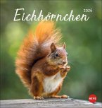 Eichhörnchen Postkartenkalender 2026 Eichhörnchen Postkartenkalender 2026