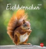 Eichhörnchen Postkartenkalender 2026 Eichhörnchen Postkartenkalender 2026