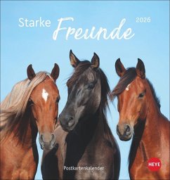Cover Pferde Postkartenkalender 2026 - Starke Freunde