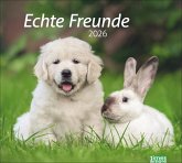 times&more Echte Freunde Bildkalender 2026 times&more Echte Freunde Bildkalender 2026