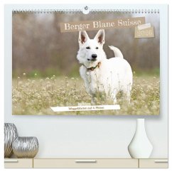 Berger Blanc Suisse - Weggefährten auf 4 Pfoten (hochwertiger Premium Wandkalender 2026 DIN A2 quer), Kunstdruck in Hochglanz