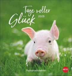 Cover Tage voller Glück Postkartenkalender 2026