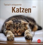 Tierisch entspannte Katzen Postkartenkalender 2026