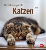 Tierisch entspannte Katzen Postkartenkalender 2026 Tierisch entspannte Katzen Postkartenkalender 2026