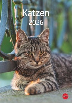Cover Katzen Kalender 2026