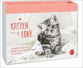 Katzen my love Tagesabreißkalender 2026 Katzen my love Tagesabreißkalender 2026