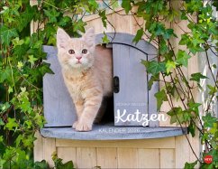 Cover Monika Wegler: Katzenkalender 2026