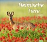 times&more Heimische Tiere Bildkalender... - Bild 1