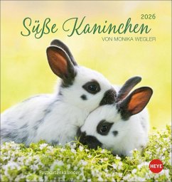 Cover Süße Kaninchen Postkartenkalender 2026