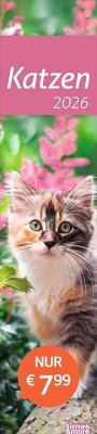 Cover times&more Katzen Langplaner 2026