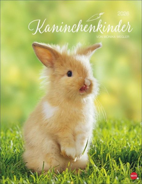 Kaninchenkinder Posterkalender 2026 Kaninchenkinder Posterkalender 2026