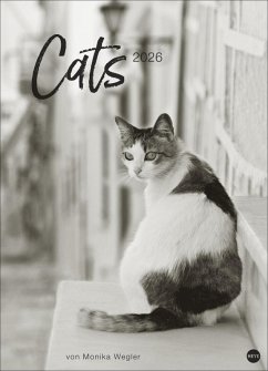 Cover Cats Edition Kalender 2026