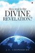How real is the DIVINE REVELATION? - Bild 1
