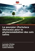 Le pourpier (Portulaca Oleracea) pour la phytoremédiation des sols salins