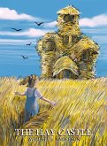 The Hay Castle The Hay Castle
