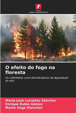 Cover O efeito do fogo na floresta