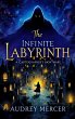 The Infinite Labyrinth (eBook, ePUB) - Bild 1