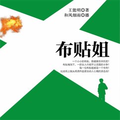 布贴姐 (MP3-Download) - 王能明