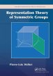 Representation Theory of Symmetric... - Bild 1