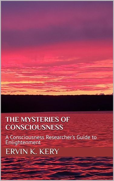 The Mysteries of Consciousness (eBook, ePUB)