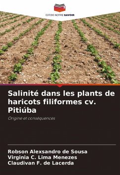 Salinité dans les plants de haricots filiformes cv. Pitiúba - Sousa, Robson Alexsandro de;Lima Menezes, Virginia C.;de Lacerda, Claudivan F.