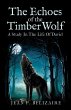 THE ECHOES OF THE TIMBER WOLF - Bild 1