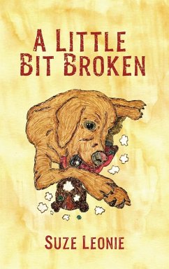 Cover A Little Bit Broken