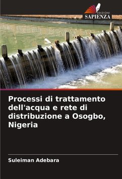 Cover Processi di trattamento dell'acqua e rete di distribuzione a Osogbo, Nigeria