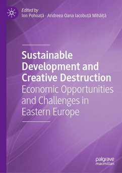 Sustainable Development and Creative Destruction (eBook, PDF)