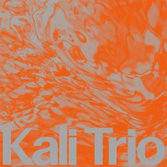The Playful Abstract (Lp) - Kali Trio