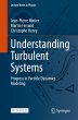 Understanding Turbulent Systems - Bild 1