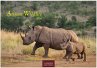 Wilde Tiere Afrikas Kalender 2026 -... - Bild 1