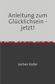 Anleitung zum Glücklichsein - jetzt! Anleitung zum Glücklichsein - jetzt!