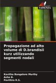 Propagazione ad alto volume di D.brandisii kurz utilizzando segmenti nodali Propagazione ad alto volume di D.brandisii kurz utilizzando segmenti nodali