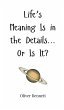 Life's Meaning Is in the Details... Or... - Bild 1