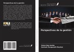 Perspectivas de la gestión