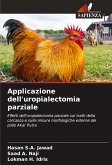 Applicazione dell'uropialectomia parziale Applicazione dell'uropialectomia parziale