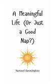 A Meaningful Life (Or Just a Good Nap?) A Meaningful Life (Or Just a Good Nap?)