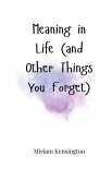Meaning in Life (and Other Things You Forget)
