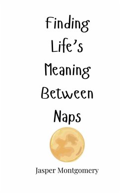 Cover Finding Life's Meaning Between Naps