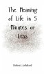 The Meaning of Life in 5 Minutes or Less - Bild 1
