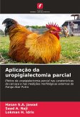 Aplicação da uropigialectomia parcial Aplicação da uropigialectomia parcial