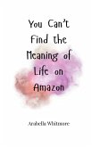 You Can't Find the Meaning of Life on Amazon
