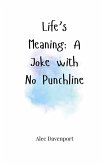 Life's Meaning Life's Meaning