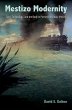 Mestizo Modernity - Bild 1
